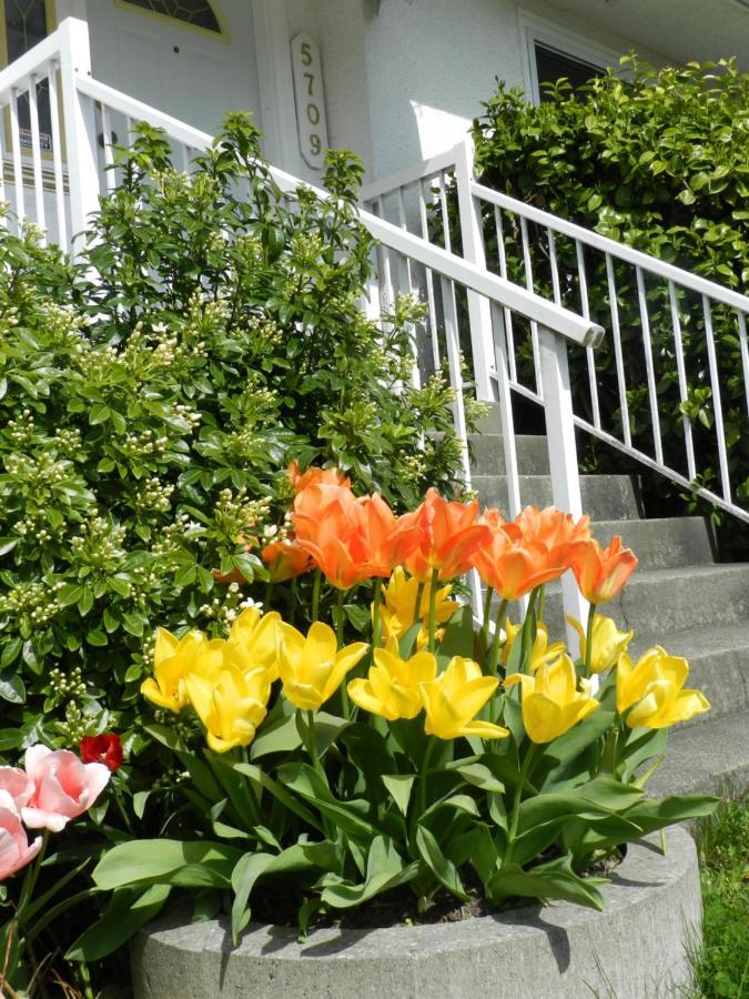 Serenity Bed and Breakfast Burnaby Exterior foto