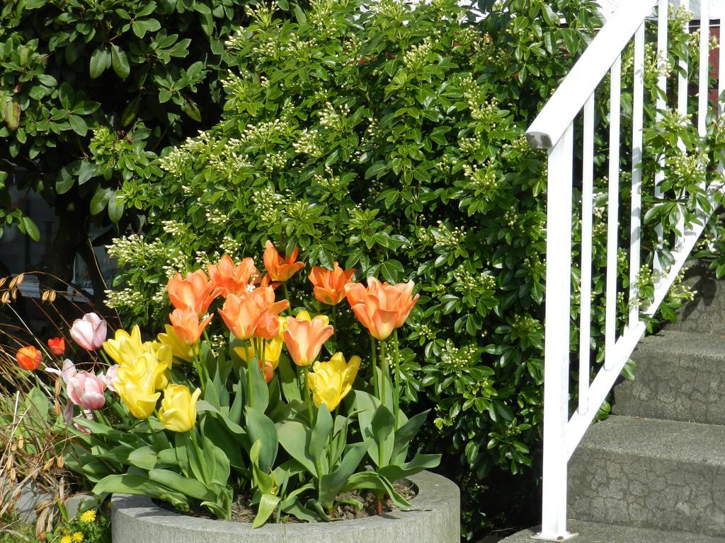 Serenity Bed and Breakfast Burnaby Exterior foto