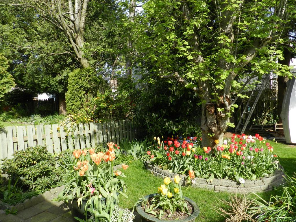 Serenity Bed and Breakfast Burnaby Exterior foto