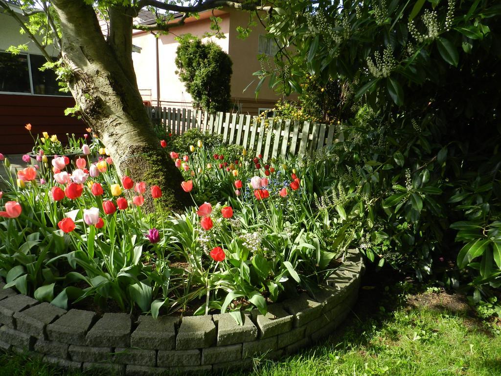 Serenity Bed and Breakfast Burnaby Exterior foto